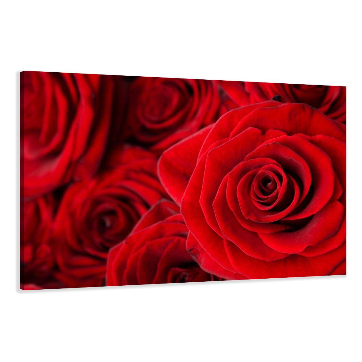 Rose Rot Bilder fertig gerahmt Bild 120x80cm XXL 5058 – Leinwandbild 120x80 cm kaufen
